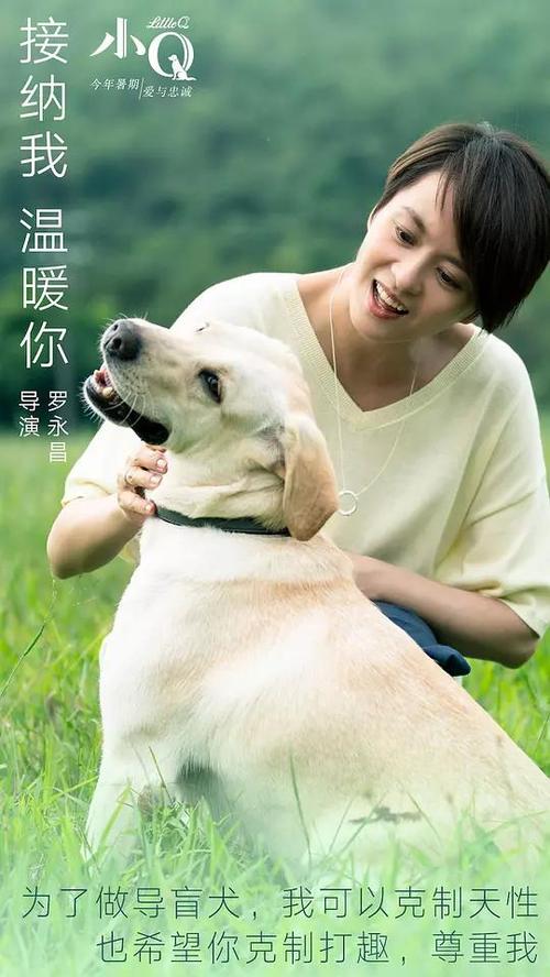 房屋不动产权证在哪里办